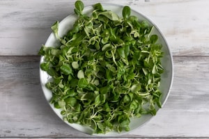 Preparazione Insalata di gamberi e mango - Fase 1