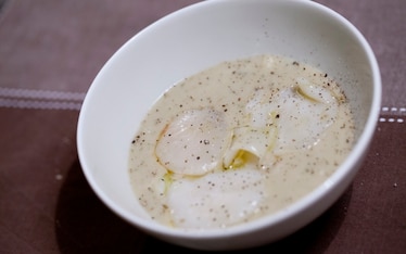 Crema di fagioli cannellini e carpaccio di capasanta