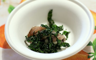 Alici marinate al pompelmo con ricotta di bufala e cavolo nero fritto