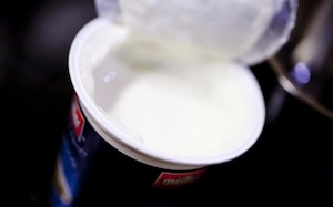 Preparazione Lievito Madre a Coltura Liquida (licoli) - Fase 2