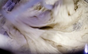 Preparazione Lievito Madre a Coltura Liquida (licoli) - Fase 3