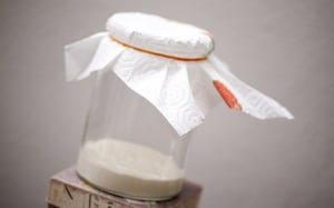 Preparazione Lievito Madre a Coltura Liquida (licoli) - Fase 3