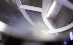 Preparazione Lievito Madre a Coltura Liquida (licoli) - Fase 4