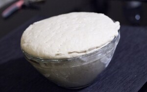 Preparazione Lievito Madre a Coltura Liquida (licoli) - Fase 5