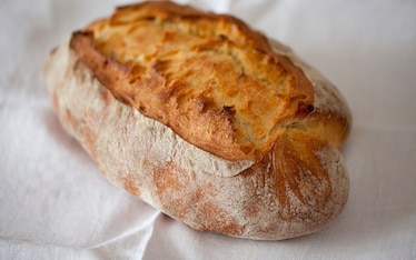 Pane bianco con lievito madre liquido