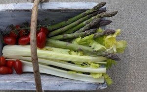 Preparazione Anguilla su crema di sedano, asparagi e pomodoro - Fase 2