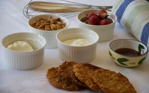 Preparazione Cheesecake mini e light - Fase 1