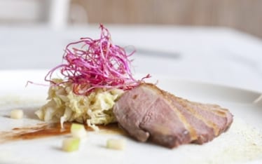 Petto d’anatra, verza e germogli