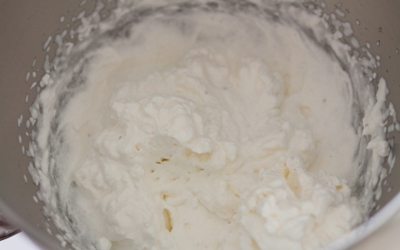 Preparazione Crema alla ricotta, cioccolato e caffè - Fase 5 Preparazione Crema alla ricotta, cioccolato e caffè - Fase 5