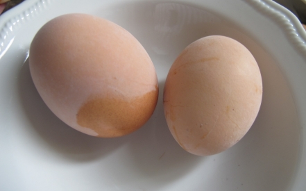 Preparazione Carbonara nel barattolo - Fase 1 Preparazione Carbonara nel barattolo - Fase 1