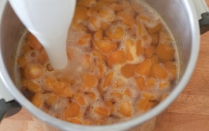 Preparazione Succo di albicocca fatto in casa - Fase 2