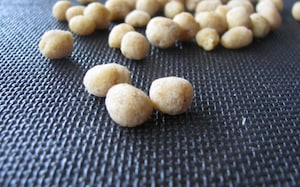 Preparazione Tarte Tatin di pesche gialle - Fase 1