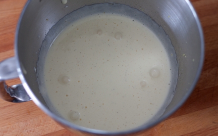 Preparazione Cheesecake ai mirtilli - Fase 2 Preparazione Cheesecake ai mirtilli - Fase 2