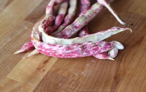 Preparazione Crema di fagioli e cozze - Fase 1