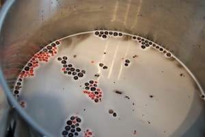 Preparazione Lingua salmistrata con verdure in agrodolce - Fase 1