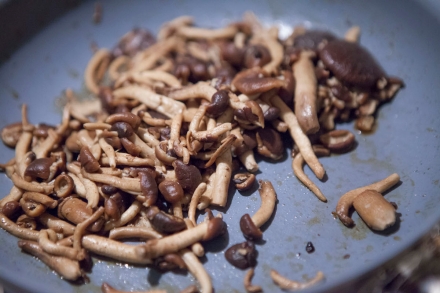 Preparazione Tagliatelle all'aglianico con funghi pioppini - Fase 2 Preparazione Tagliatelle all'aglianico con funghi pioppini - Fase 2