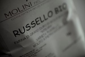 Preparazione Tagliatelle di grano Russello e ragù di fagiano - Fase 1