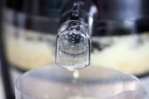 Preparazione Centrifugato di ananas, mela e sedano - Fase 2