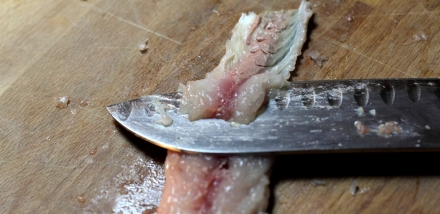 Preparazione Millefoglie di sgombro e finocchi - Fase 1 Preparazione Millefoglie di sgombro e finocchi - Fase 1