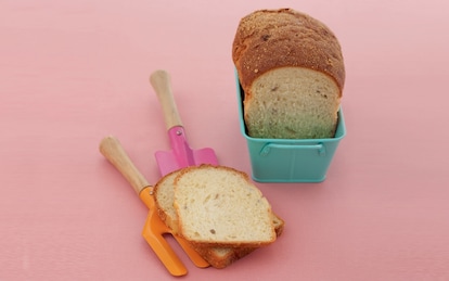 Pancarré senza glutine