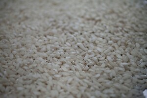 Preparazione Risotto al Lambrusco di Sorbara, radicchio rosso e mandorle - Fase 1