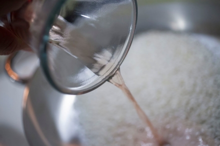 Preparazione Risotto al Lambrusco di Sorbara, radicchio rosso e mandorle - Fase 2 Preparazione Risotto al Lambrusco di Sorbara, radicchio rosso e mandorle - Fase 2