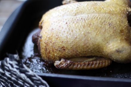 Preparazione Anatra all'arancia - Fase 2 Preparazione Anatra all'arancia - Fase 2