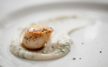 Capesante con purè di topinambur al finocchietto e maionese di coralli