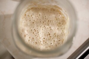Preparazione Pane fatto in casa: Farine di grano duro Biancolilla e Senatore Cappelli - Fase 1