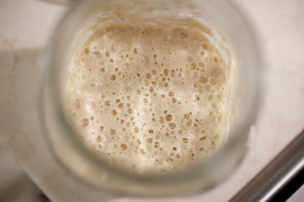 Preparazione Pane fatto in casa: Farine di grano duro Biancolilla e Senatore Cappelli - Fase 1 Preparazione Pane fatto in casa: Farine di grano duro Biancolilla e Senatore Cappelli - Fase 1