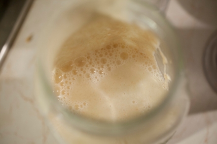 Preparazione Pane fatto in casa: Farine di grano duro Biancolilla e Senatore Cappelli - Fase 2 Preparazione Pane fatto in casa: Farine di grano duro Biancolilla e Senatore Cappelli - Fase 2