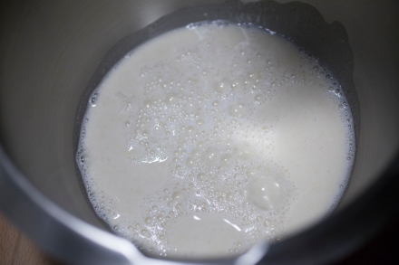 Preparazione Pane fatto in casa: Farine di grano duro Biancolilla e Senatore Cappelli - Fase 3 Preparazione Pane fatto in casa: Farine di grano duro Biancolilla e Senatore Cappelli - Fase 3