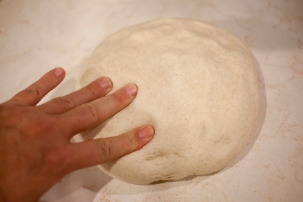 Preparazione Pane fatto in casa: Farine di grano duro Biancolilla e Senatore Cappelli - Fase 12 Preparazione Pane fatto in casa: Farine di grano duro Biancolilla e Senatore Cappelli - Fase 12