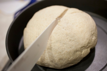 Preparazione Pane fatto in casa: Farine di grano duro Biancolilla e Senatore Cappelli - Fase 14 Preparazione Pane fatto in casa: Farine di grano duro Biancolilla e Senatore Cappelli - Fase 14