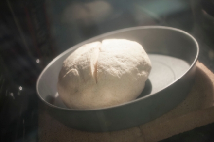 Preparazione Pane fatto in casa: Farine di grano duro Biancolilla e Senatore Cappelli - Fase 15 Preparazione Pane fatto in casa: Farine di grano duro Biancolilla e Senatore Cappelli - Fase 15