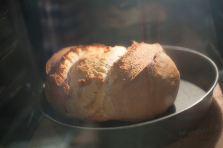 Preparazione Pane fatto in casa: Farine di grano duro Biancolilla e Senatore Cappelli - Fase 16 Preparazione Pane fatto in casa: Farine di grano duro Biancolilla e Senatore Cappelli - Fase 16