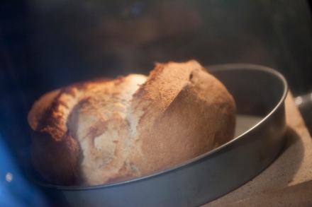 Preparazione Pane fatto in casa: Farine di grano duro Biancolilla e Senatore Cappelli - Fase 16 Preparazione Pane fatto in casa: Farine di grano duro Biancolilla e Senatore Cappelli - Fase 16