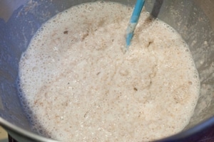 Preparazione Pane fatto in casa: Pagnotta integrale - Fase 2