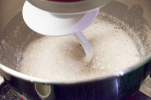 Preparazione Pane fatto in casa: Pagnotta integrale - Fase 3