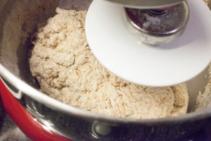 Preparazione Pane fatto in casa: Pagnotta integrale - Fase 4