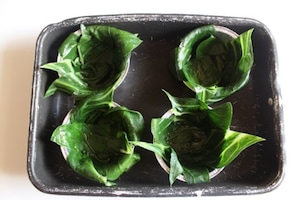 Preparazione Sformati di bietole con riso e crema di zucca al cumino - Fase 2