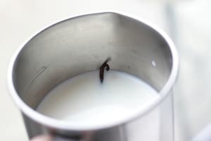 Preparazione Budino alla vaniglia con pesche caramellate - Fase 1