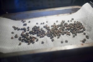 Preparazione Polvere di capperi - Fase 3