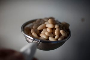 Preparazione Scampi con crema di fagioli cannellini e pinoli - Fase 1