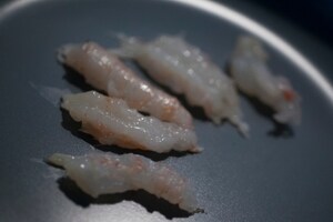 Preparazione Scampi con crema di fagioli cannellini e pinoli - Fase 3