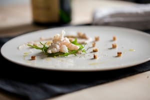 Preparazione Scampi con crema di fagioli cannellini e pinoli - Fase 4