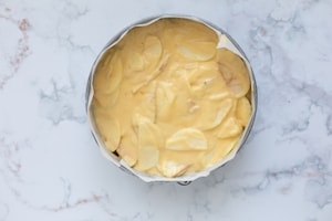 Preparazione Torta di mele con il Bimby - Fase 3