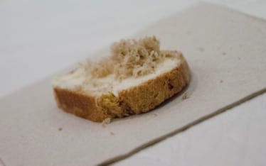 Crostino di pane semidolce al curry con burro salato e tartufo