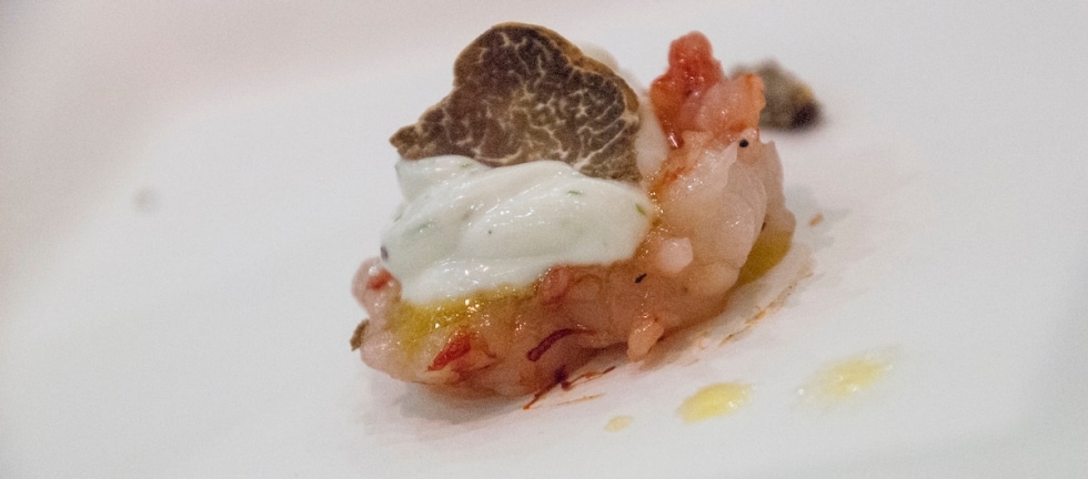 Tartare di gamberi con olio al sedano, salsa yogurt e tartufo ricetta