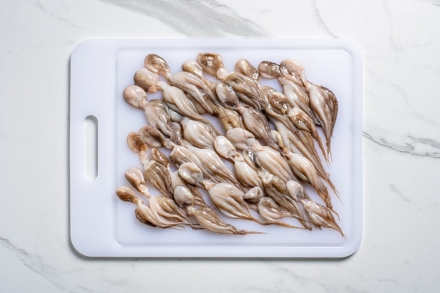 Preparazione Moscardini al sugo - Fase 1 Preparazione Moscardini al sugo - Fase 1